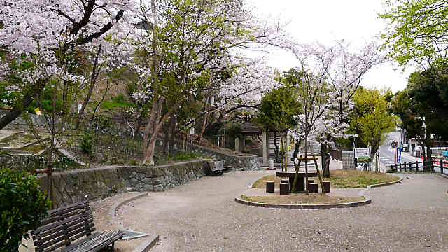 人丸山公園の桜