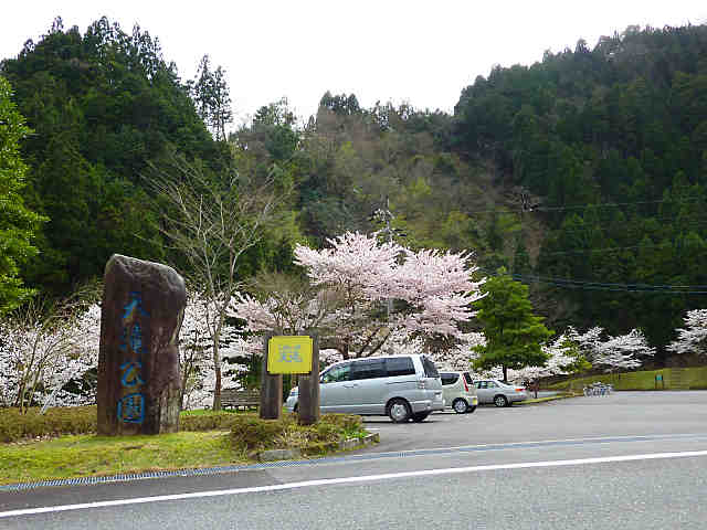 レストハウス天滝の桜