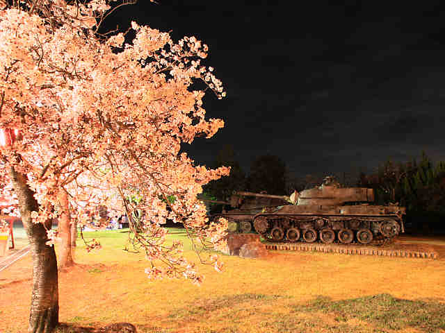青野原駐屯地の桜のライトアップ