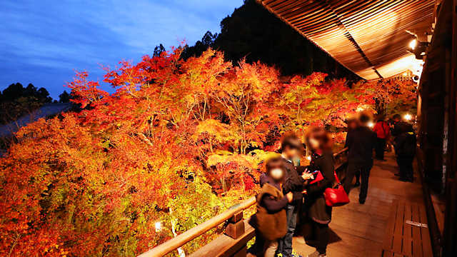 播州清水寺「千燈会」と紅葉のライトアップ