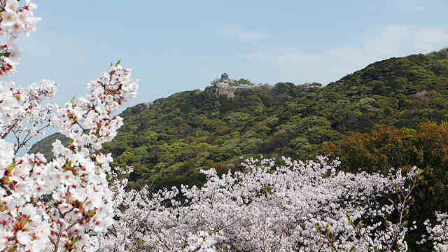 曲田山公園の展望台から見た三熊山の洲本城