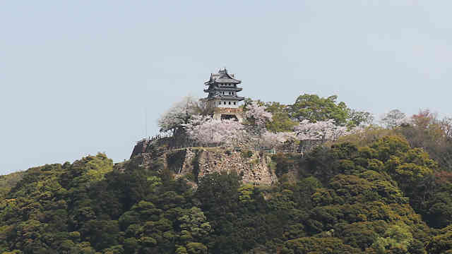 曲田山公園の展望台から見た三熊山の洲本城
