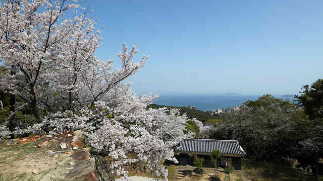 洲本城の桜と友ヶ島、和歌山方面の風景