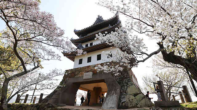 洲本城の天守閣と桜
