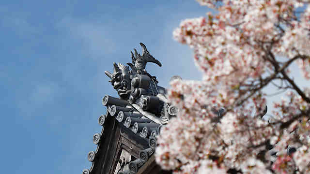 洲本城の天守閣の鬼瓦と桜