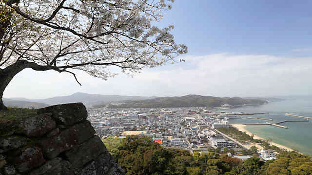 洲本城の桜と洲本市街地の風景