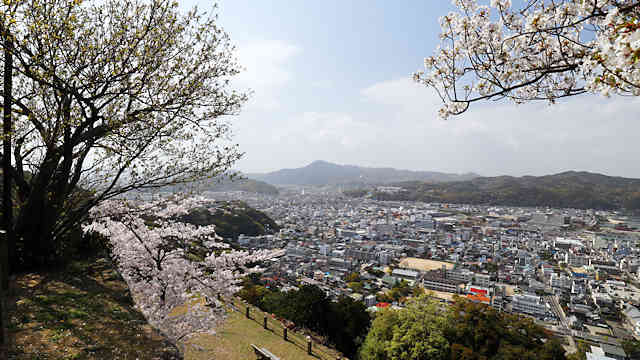 洲本城の桜と洲本市街地の風景
