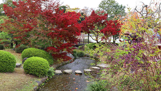 好古園　日本庭園の紅葉