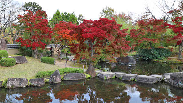 好古園　日本庭園の紅葉