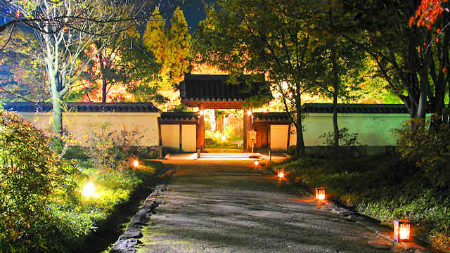 好古園　日本庭園の紅葉のライトアップ