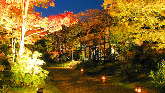 好古園　日本庭園の紅葉のライトアップ