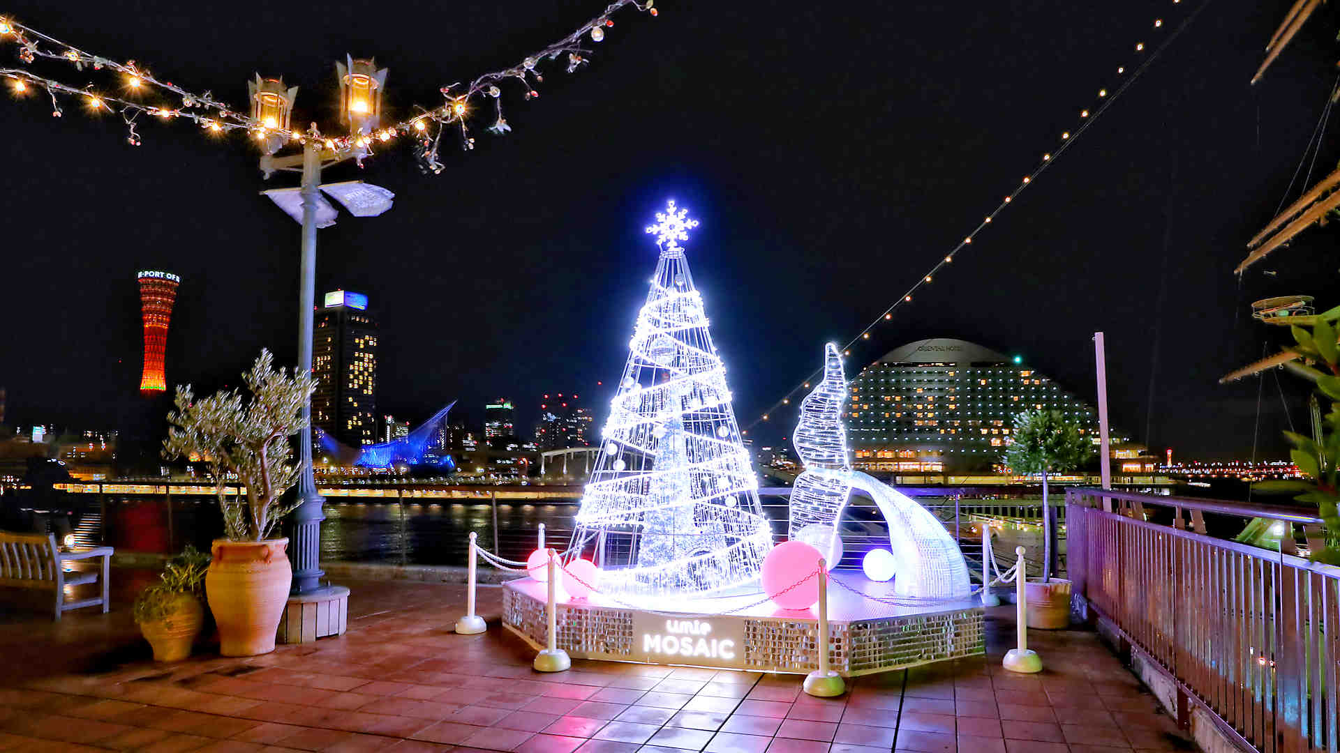神戸ハーバーランド　クリスマスツリー