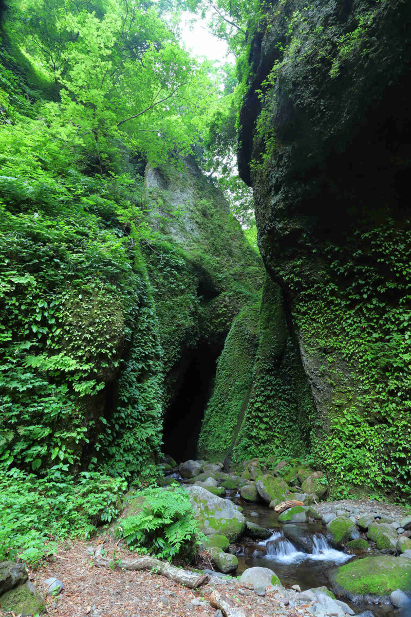 シワガラの滝のある洞窟