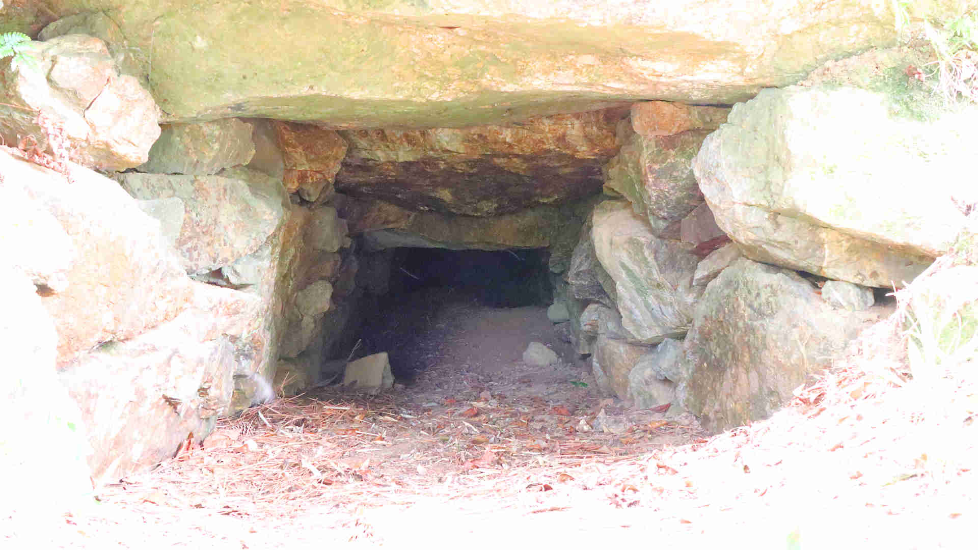 神谷古墳の内部