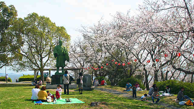 赤穂御崎の桜