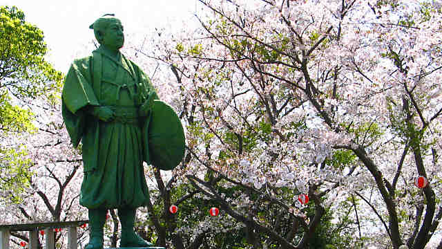 赤穂御崎の桜