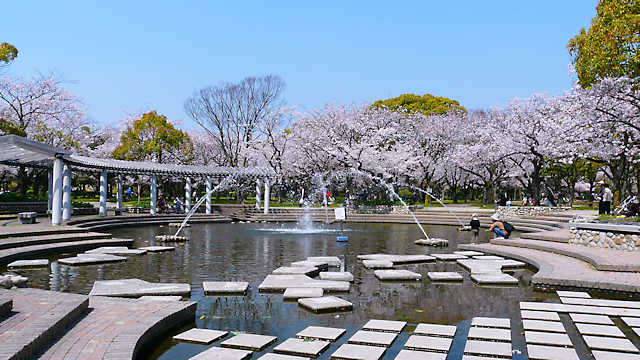 西武庫公園の噴水と桜