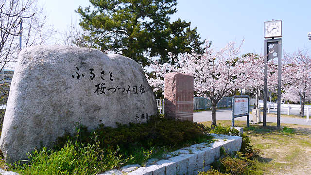 武庫川の「ふるさと桜づつみ回廊」
