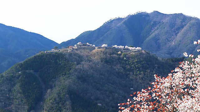 立雲峡の桜と竹田城跡