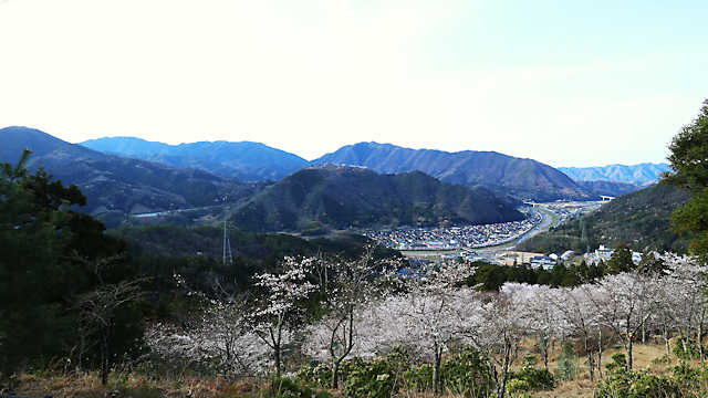 立雲峡の桜と竹田の町並み