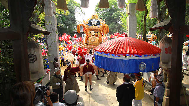 英賀神社秋祭り