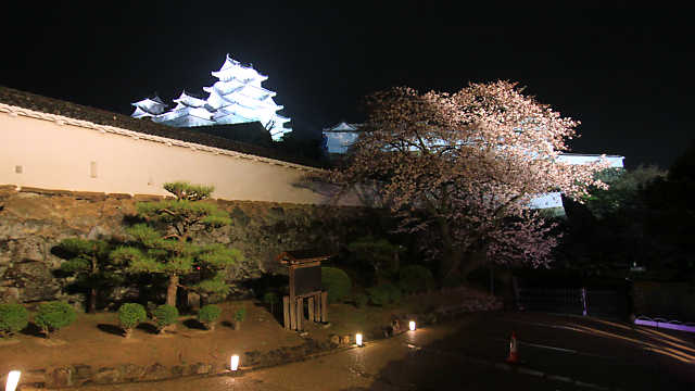 姫路城夜桜会 姫路城と桜のライトアップ