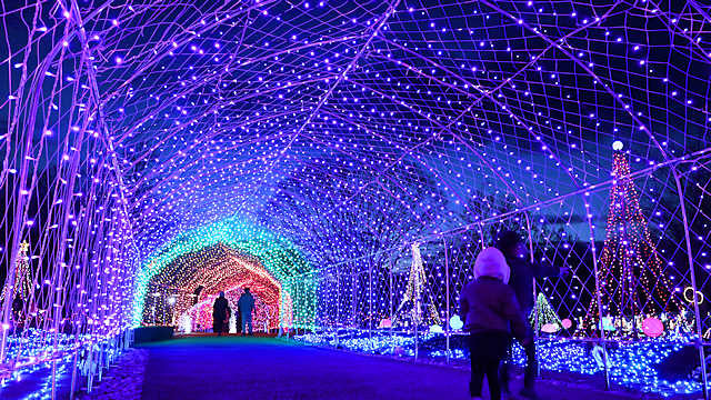 花と光のクリスマス「光のトンネル」