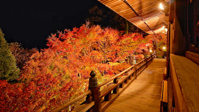 播州清水寺 大講堂の回廊から見る紅葉