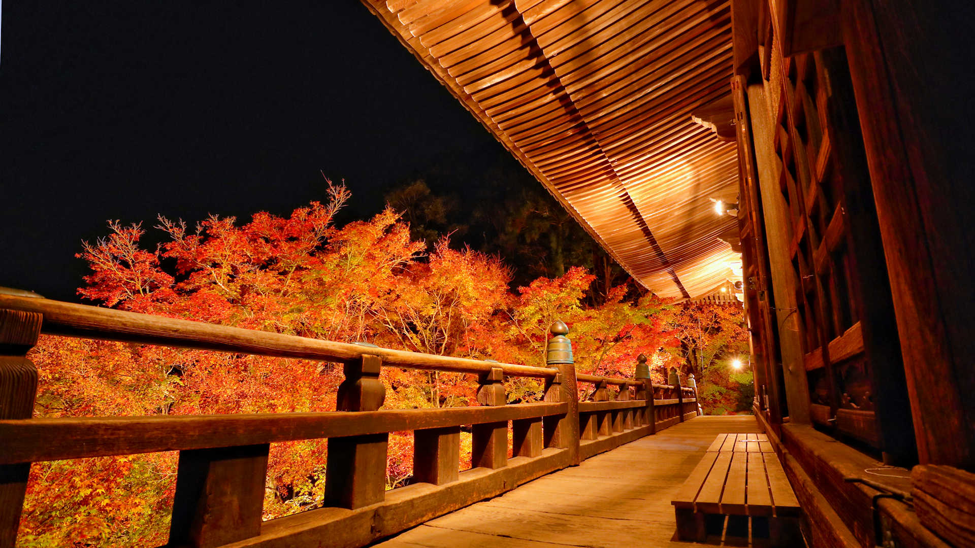 播州清水寺 千燈会 と紅葉ライトアップ 大紅葉まつり も同時開催