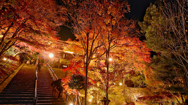 播州清水寺 本坊から大講堂への階段