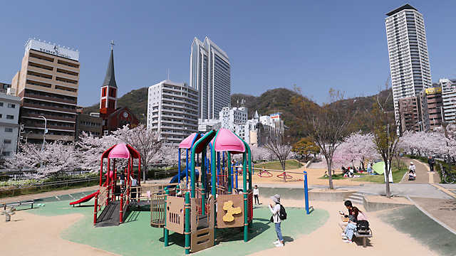 生田川公園の桜