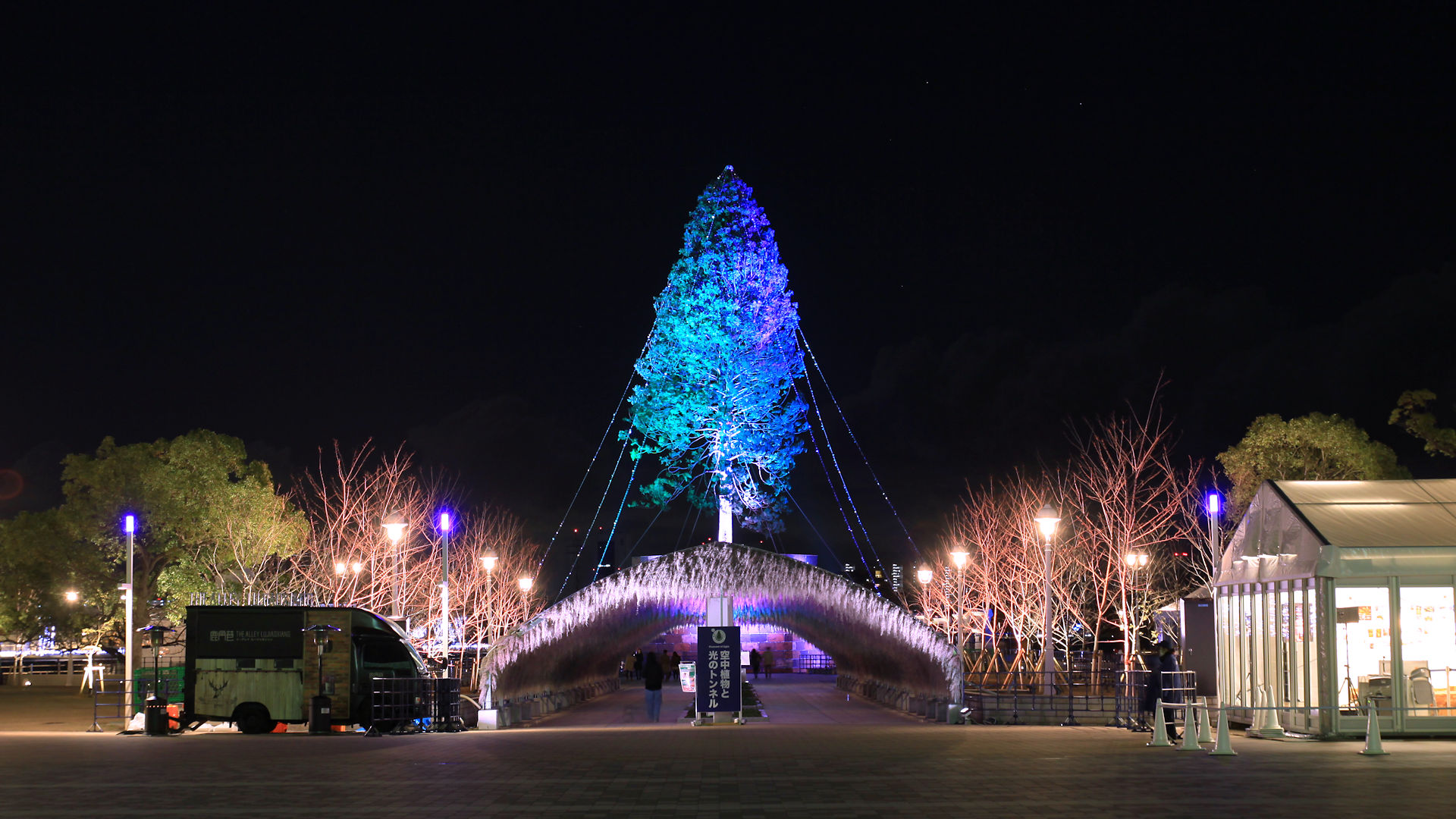 神戸メリケンパークに世界一のクリスマスツリーが登場
