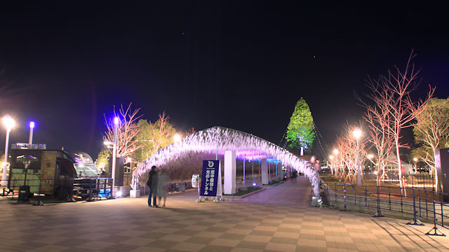 神戸メリケンパーク 世界一のクリスマスツリー
