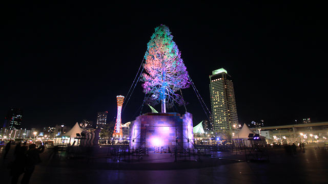 神戸メリケンパーク 世界一のクリスマスツリー