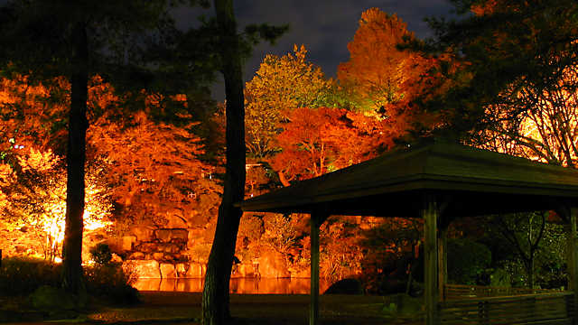 須磨離宮公園の紅葉ライトアップ