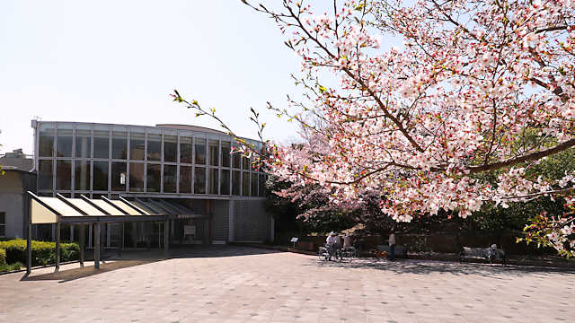 神戸埋蔵文化財センター