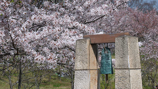 銅鐸と桜