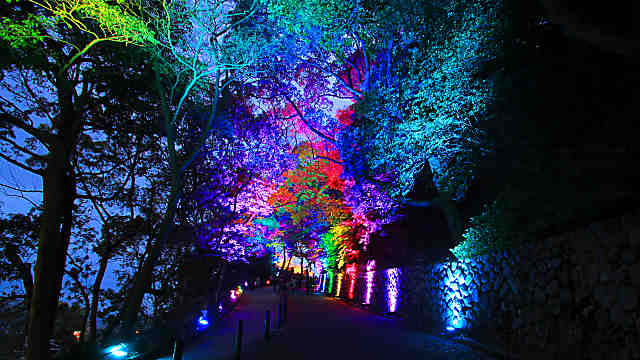 須磨浦公園の夜桜ライトアップ