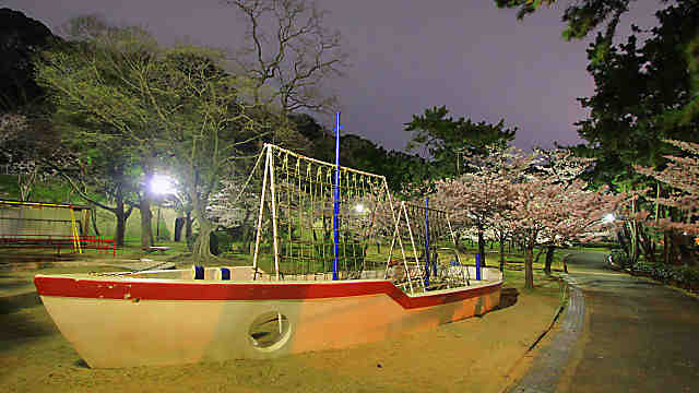 須磨浦公園の夜桜ライトアップ