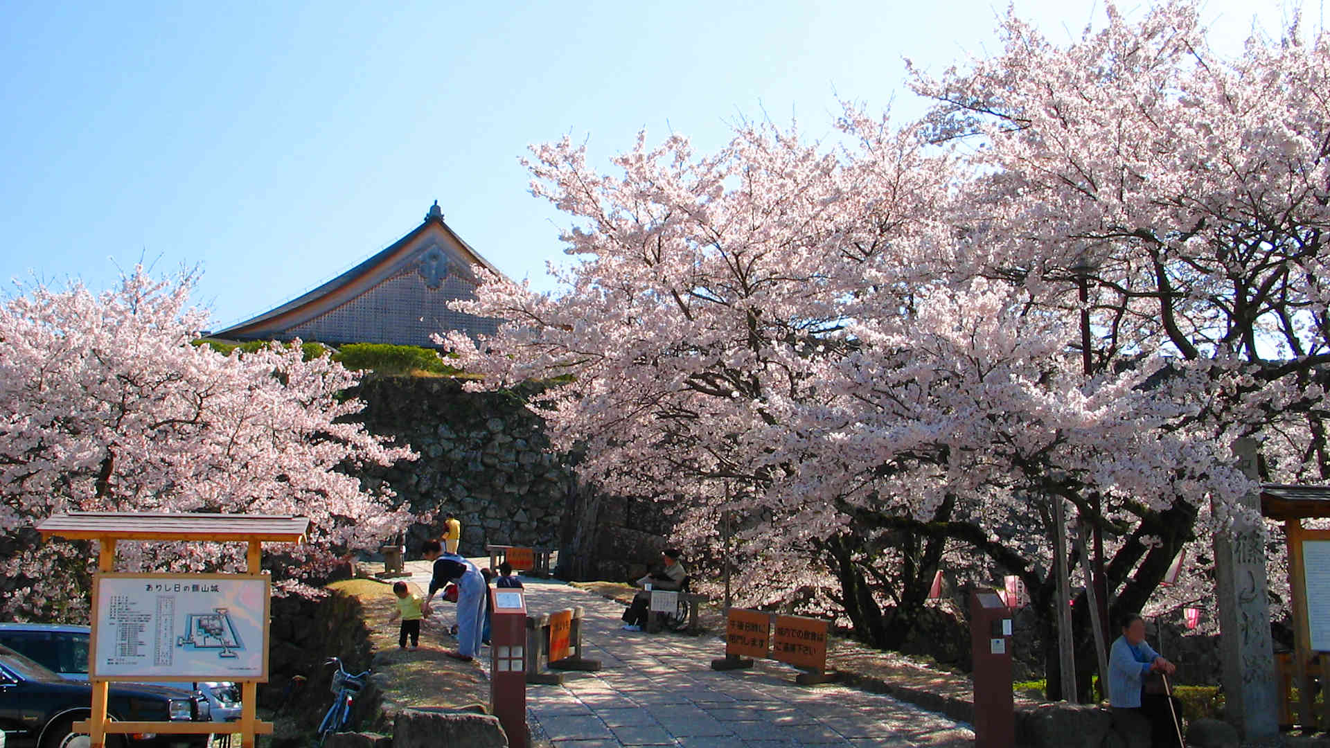 丹波篠山さくらまつり 篠山城と桜のライトアップ