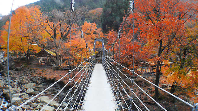 福知渓谷の吊り橋