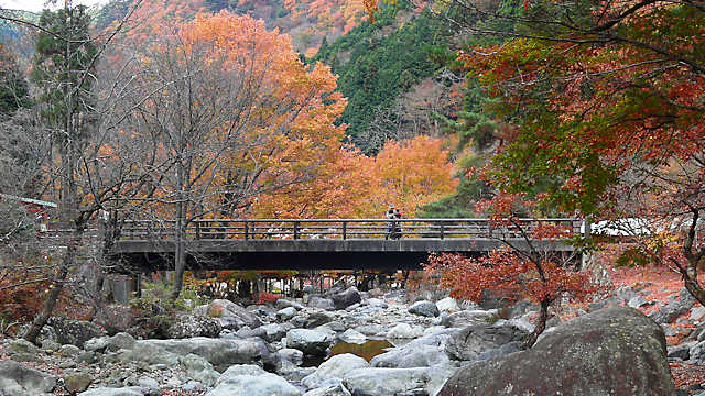福知渓谷の紅葉