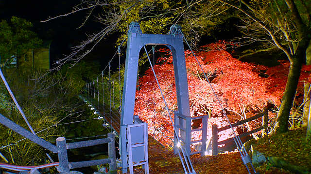 福知渓谷の紅葉のライトアップ