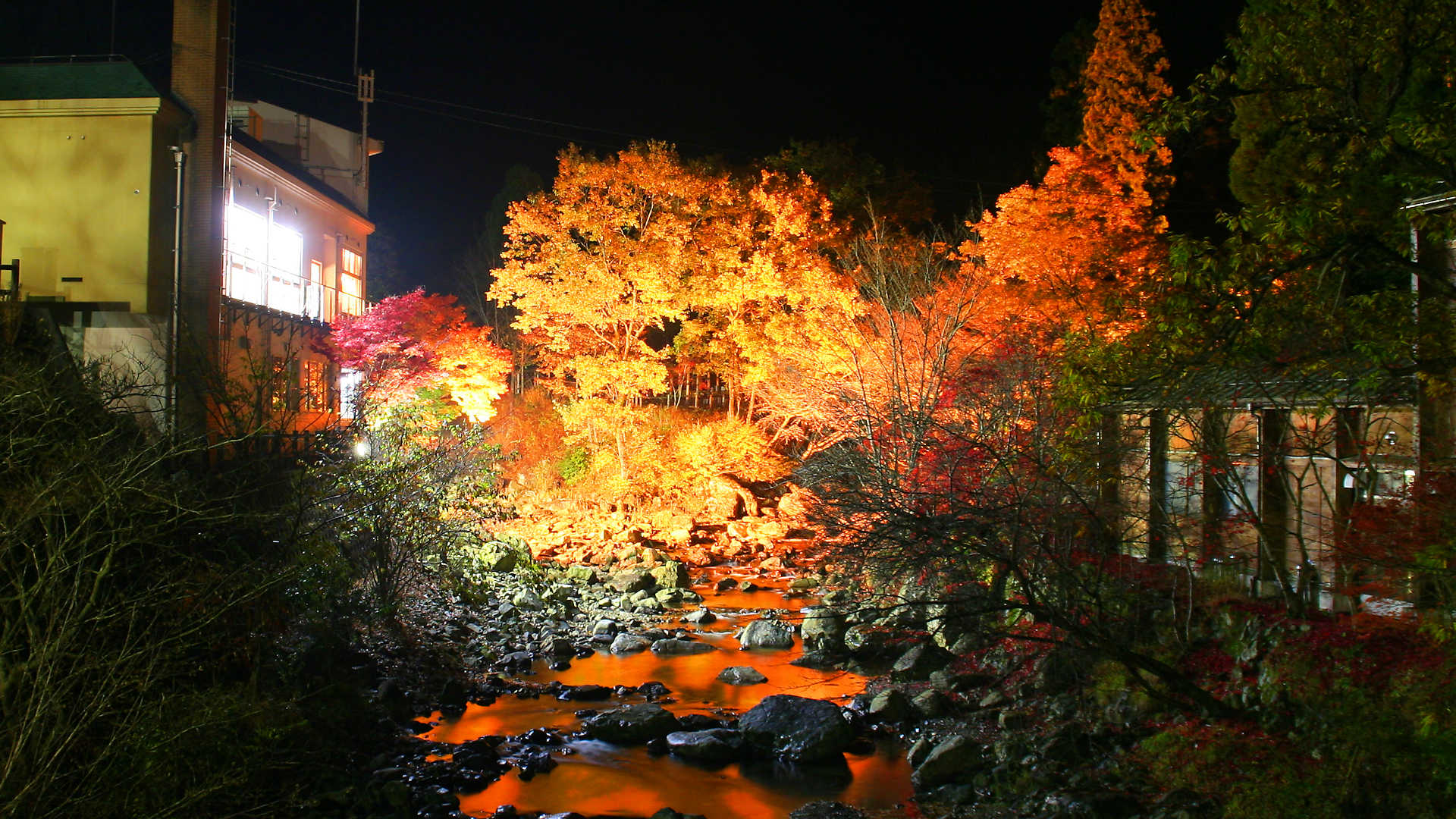 福知渓谷もみじまつり18 紅葉のライトアップ