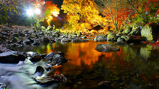 福知渓谷の紅葉のライトアップ