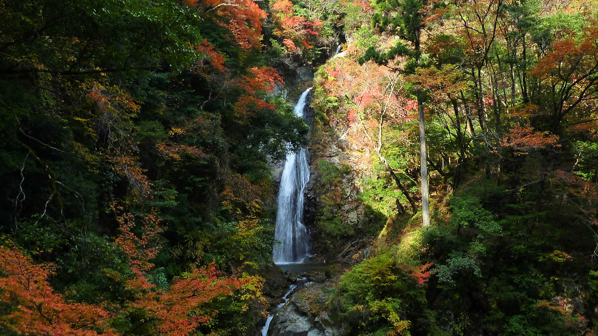 原不動滝元祖もみじ りんごまつり 原不動滝の紅葉