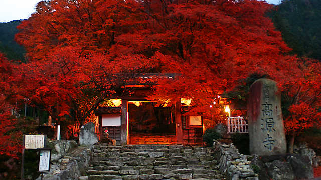 高源寺の紅葉ライトアップ