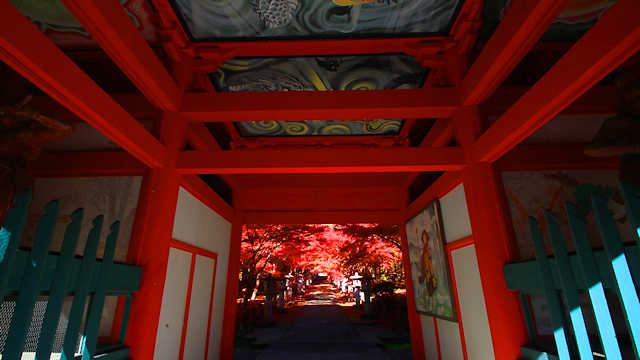高山寺の仁王門と紅葉
