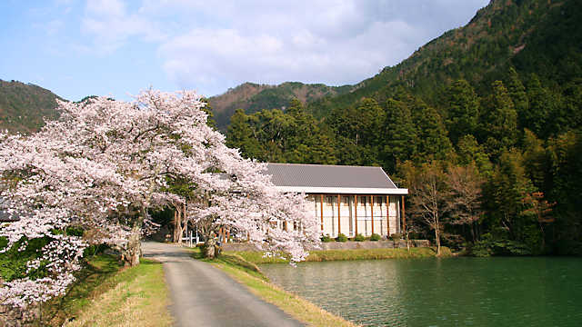 水分れ資料館と桜