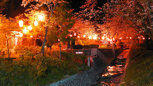 水分かれ公園 桜のライトアップ・夜桜